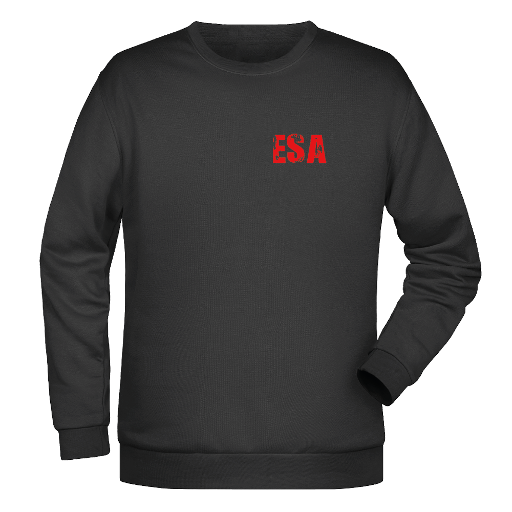 Bomulds Sweatshirt - Voksen - Assens Esport - SponsorWorld