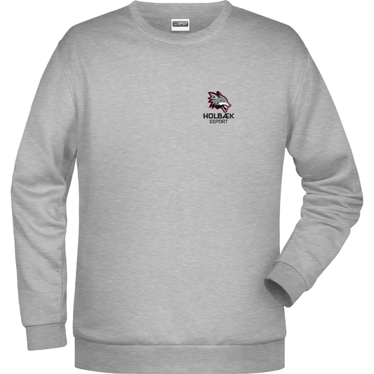 Bomulds Sweatshirt - Voksen - Holbæk ESport