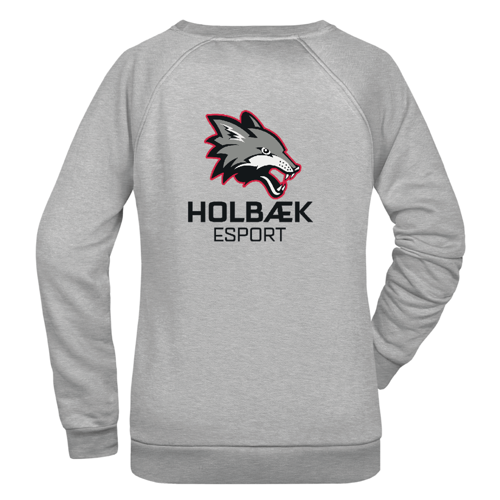 Bomulds Sweatshirt - Voksen - Holbæk ESport