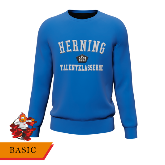 Basic - Sweater blå/hvid