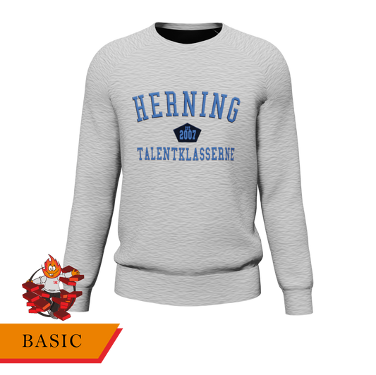 Basic - Sweater grå/blå