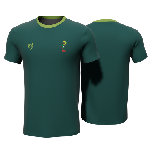 Bomulds T-shirt - Sindal Dragons